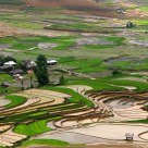 Nước đổ _ Mù Cang Chải - Pour water season _ Mu Cang Chai